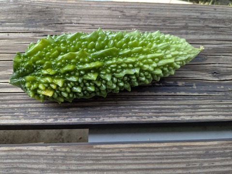 PXL_20250710_002301669