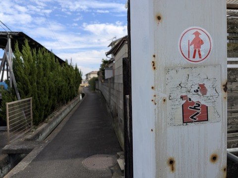 PXL_20251111_040903588