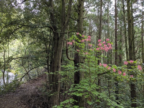 PXL_20240424_013715991.MP