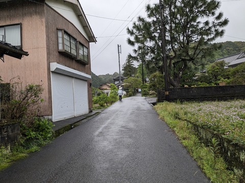 PXL_20240422_231040402