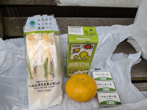 PXL_20241024_024222106