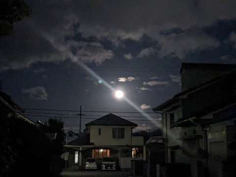 PXL_20240226_112850463