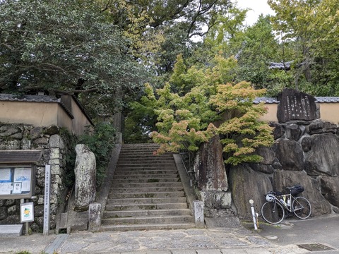 PXL_20241022_022715682