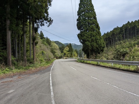 PXL_20240426_042334980