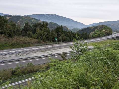 PXL_20240425_213510276