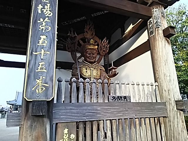 イメージ 6