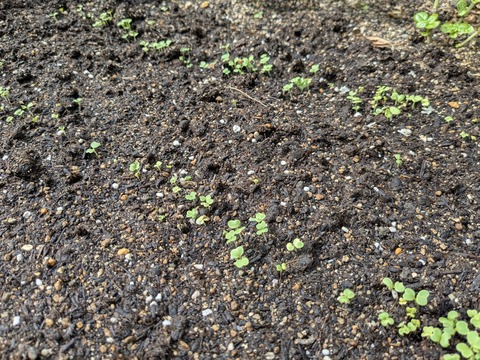 PXL_20251019_015841813