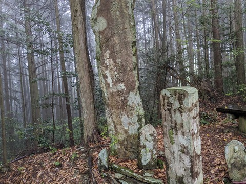 PXL_20240426_235512908