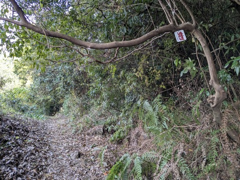 PXL_20251126_042332338