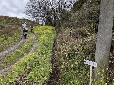 PXL_20240223_022252572