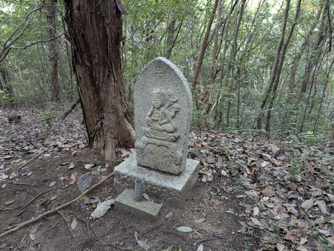 PXL_20250928_023425959