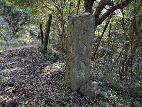 PXL_20251115_002300406