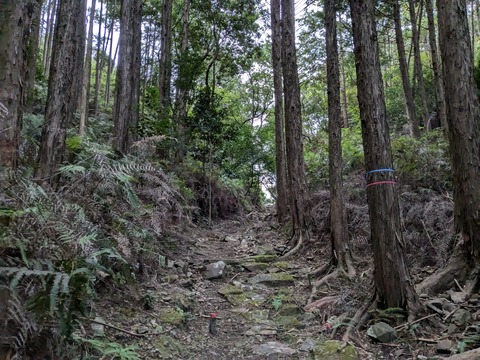 PXL_20241120_221019043