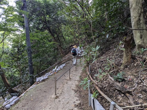 PXL_20241025_010426420