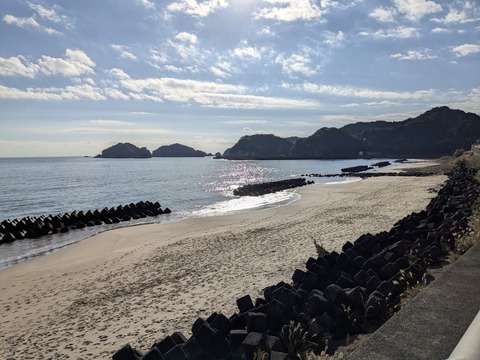 PXL_20251123_002006972