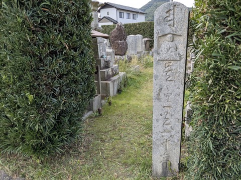 PXL_20251111_024004807