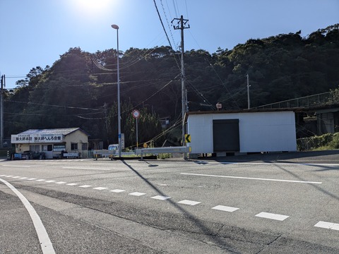 PXL_20241120_044303846