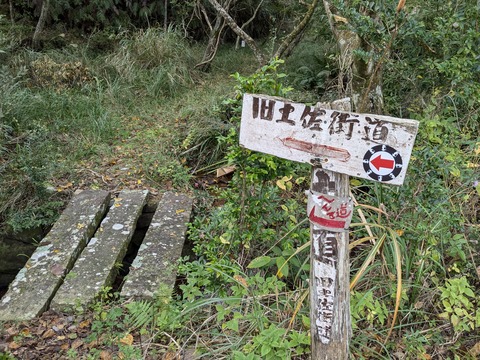 PXL_20241121_001644515