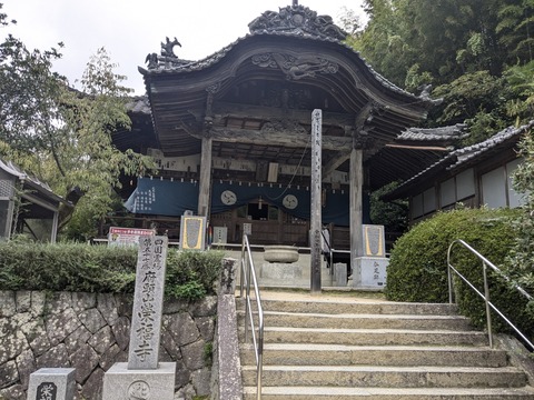 PXL_20241024_234831363