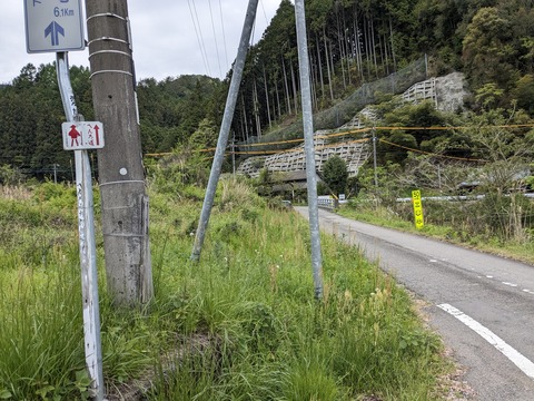 PXL_20240426_043914088