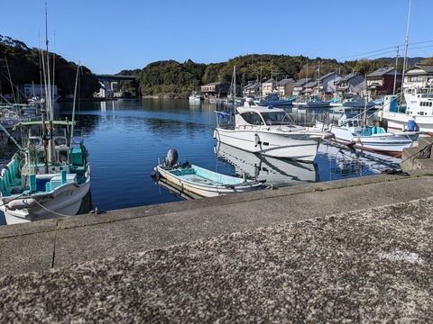 PXL_20240326_235307421