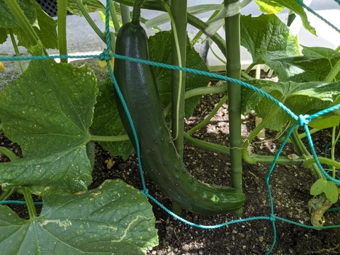 PXL_20240608_002328490