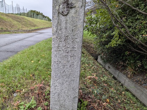 PXL_20241022_050027908