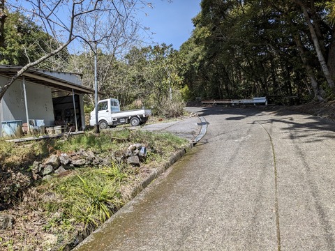 PXL_20240330_015811499