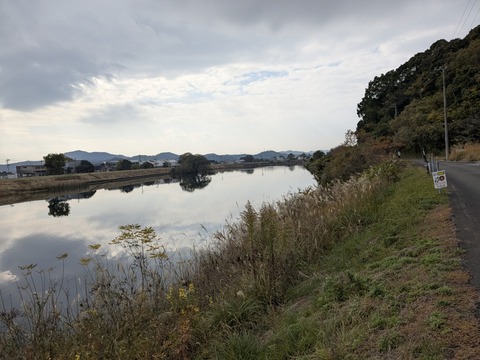 PXL_20251127_023916314