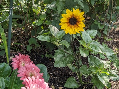 PXL_20240615_231050631