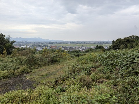 PXL_20241026_061607819