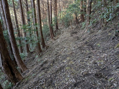 PXL_20241119_232649727