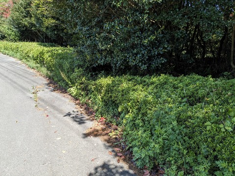 PXL_20240425_020727162