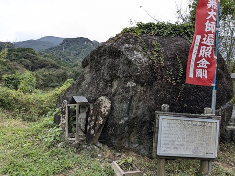 PXL_20241022_013920719