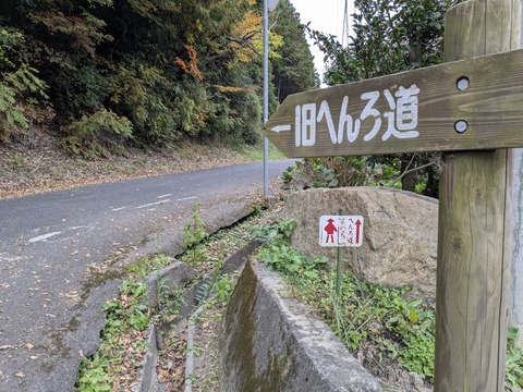 PXL_20251113_061619918