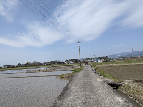 PXL_20240331_021116383