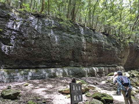 PXL_20240723_032005510