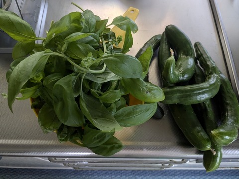 PXL_20240718_233152760