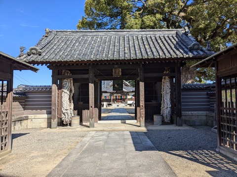 PXL_20241109_010932562