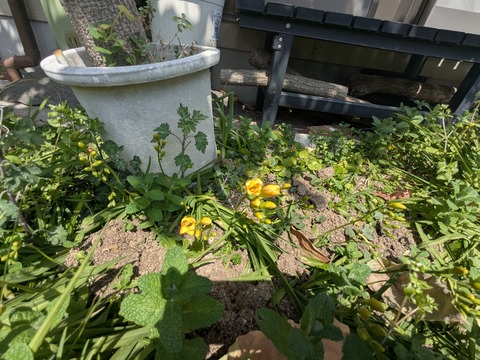 PXL_20250326_030701423