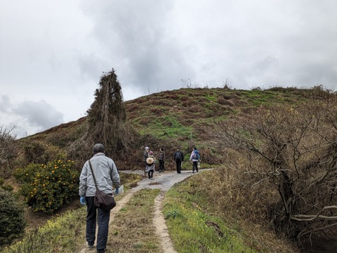 PXL_20240223_022619301