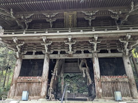 PXL_20240426_065846277