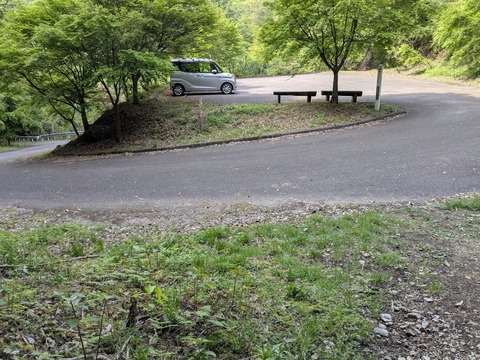 PXL_20250430_060503084