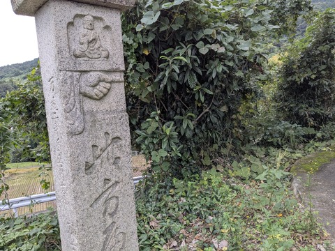 PXL_20251101_225738893