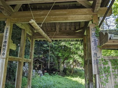 PXL_20240425_015209237