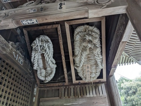 PXL_20240424_050426039