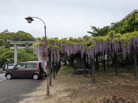 PXL_20250428_052254487