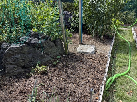 PXL_20240927_034812266