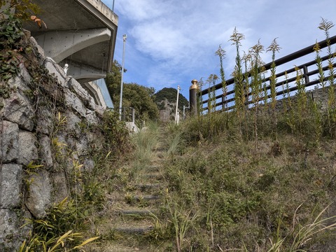 PXL_20241108_043455962