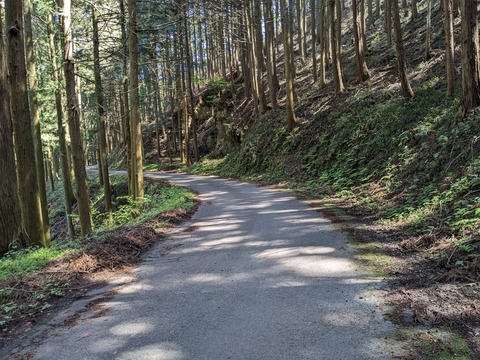 PXL_20240425_011944663